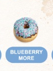 BLUEBERRY MORE